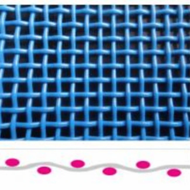 China Polyester Mesh Conveyor Belt Plain Weave
